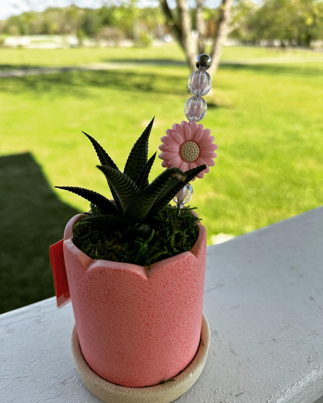 Plant stake
